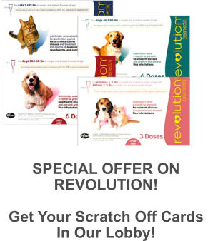 SPECIAL OFFER ON REVOLUTION!  Get Your Scratch Off Cards  In Our Lobby!